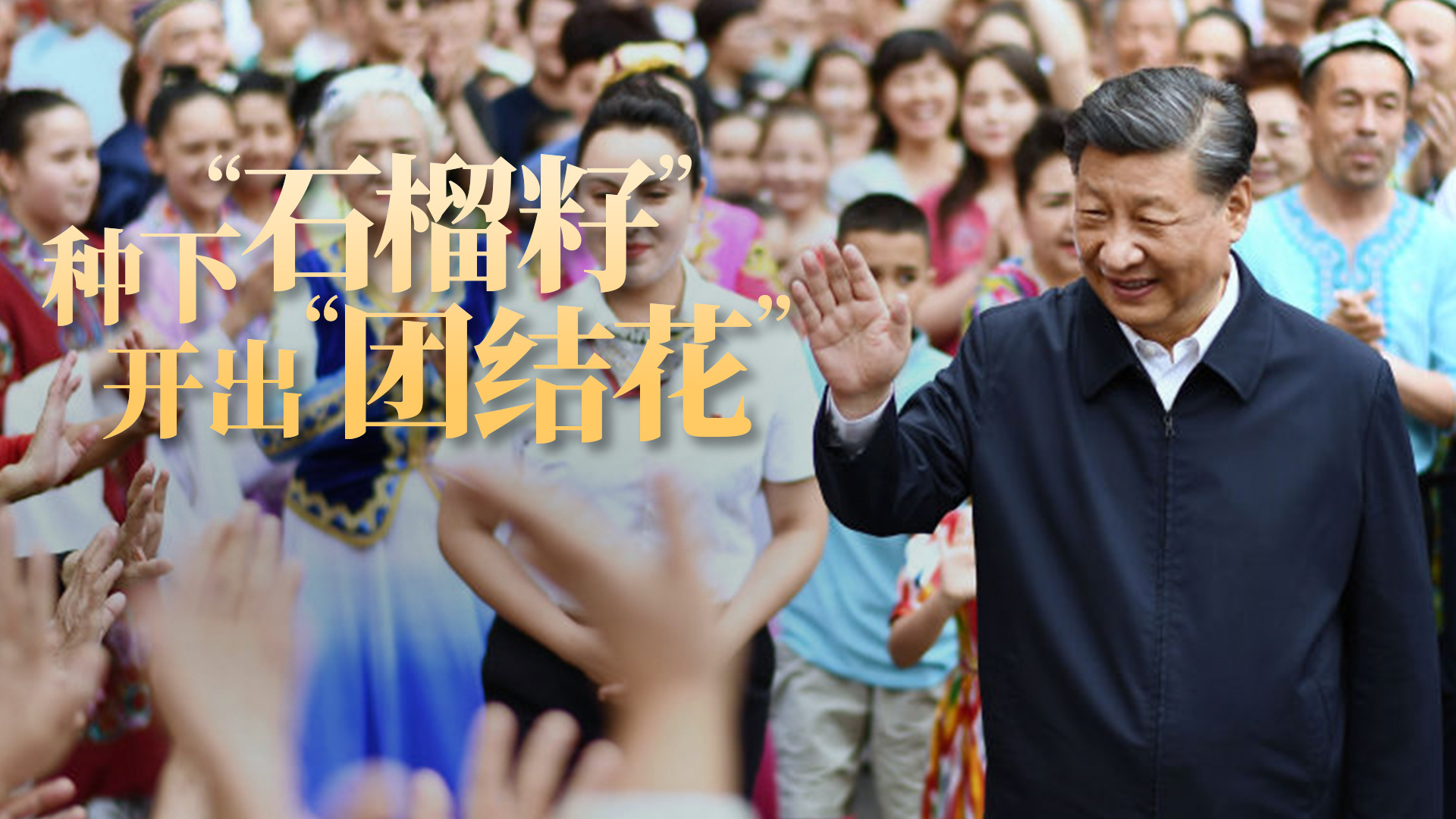 总书记关心的事｜种下“石榴籽”  开出“团结花”
