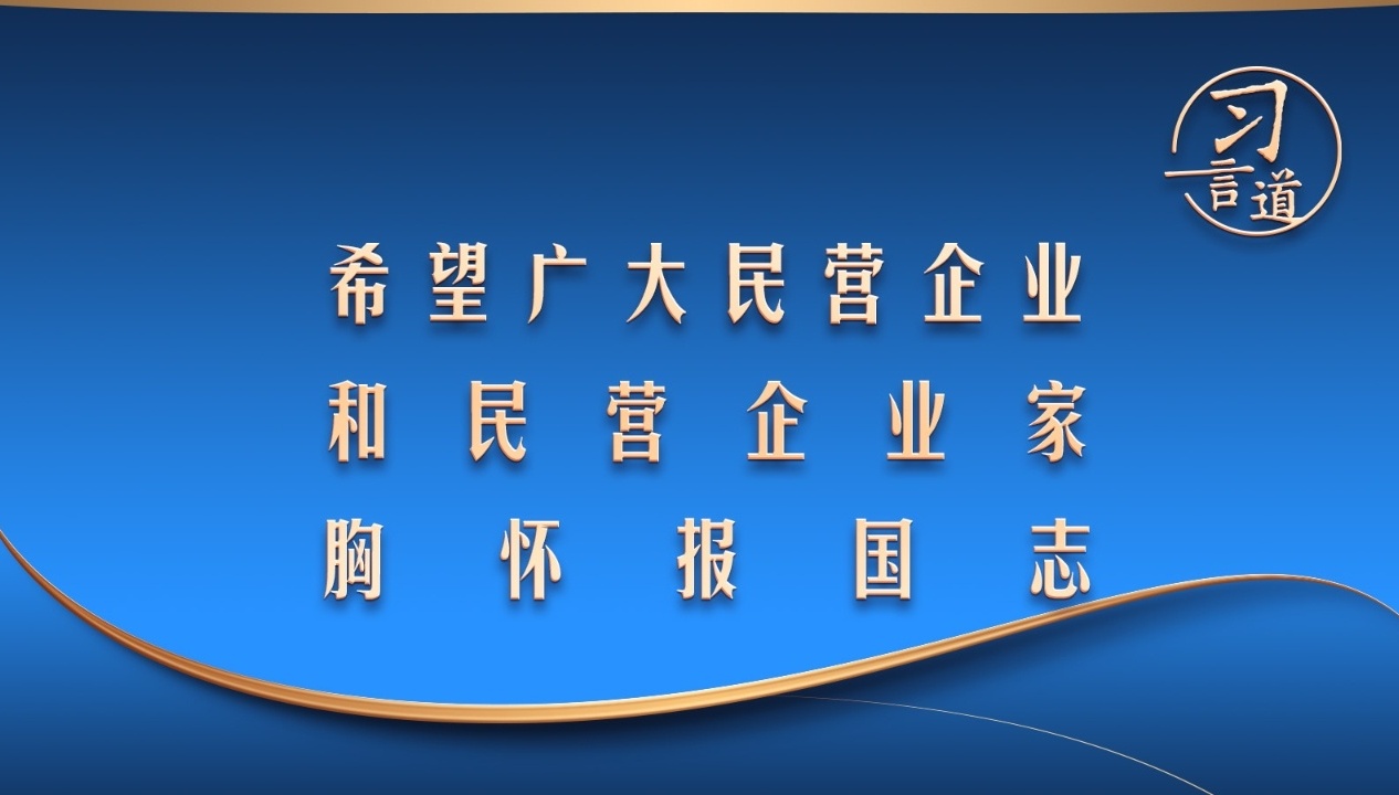 “希望广大民营企业和民营企业家胸怀报国志”