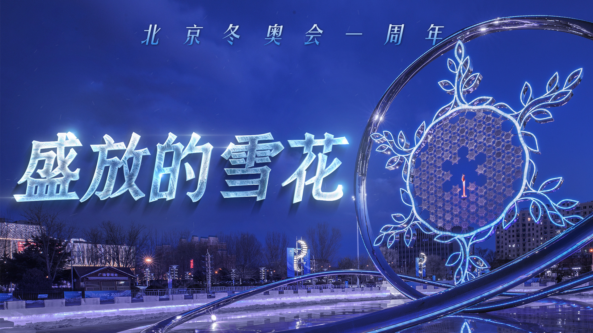 盛放的雪花