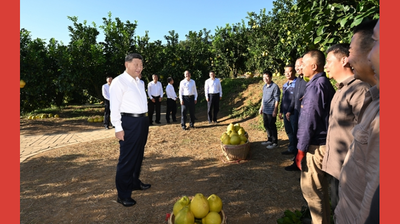 总书记的一周（11月3日—11月9日）