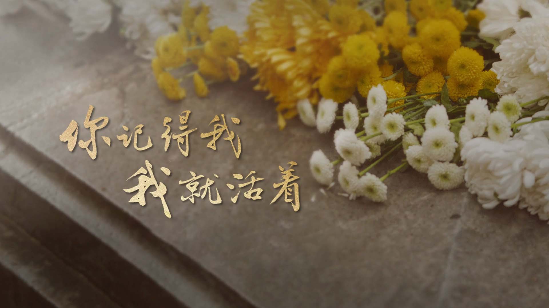 你记得我，我就活着