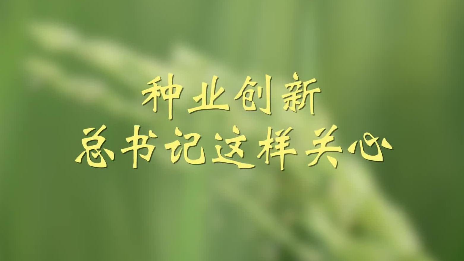 种业创新，总书记这样关心