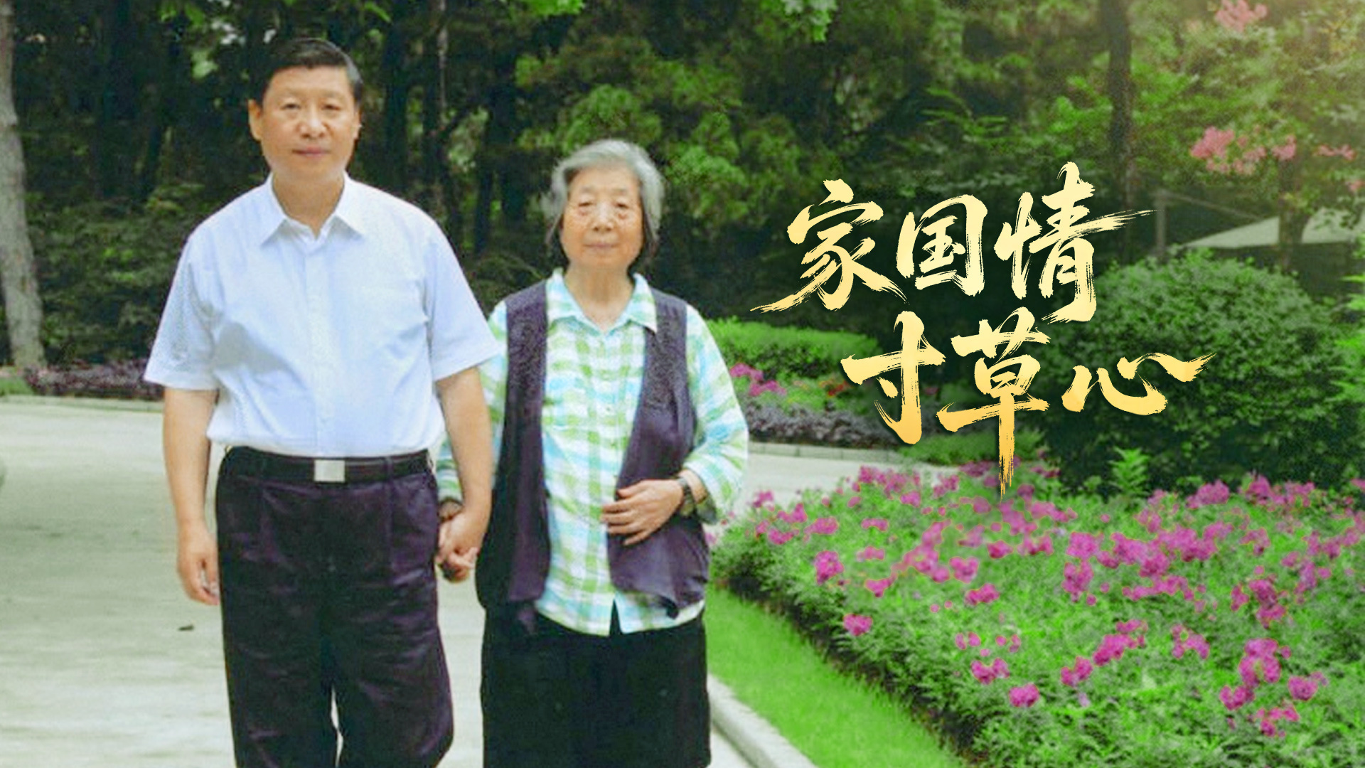 家国情 寸草心