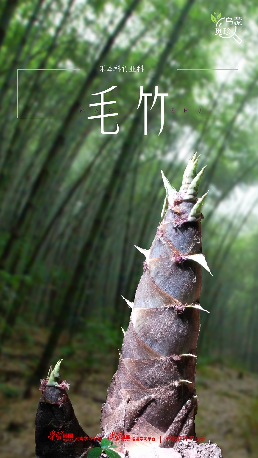 “学习强国”学习平台