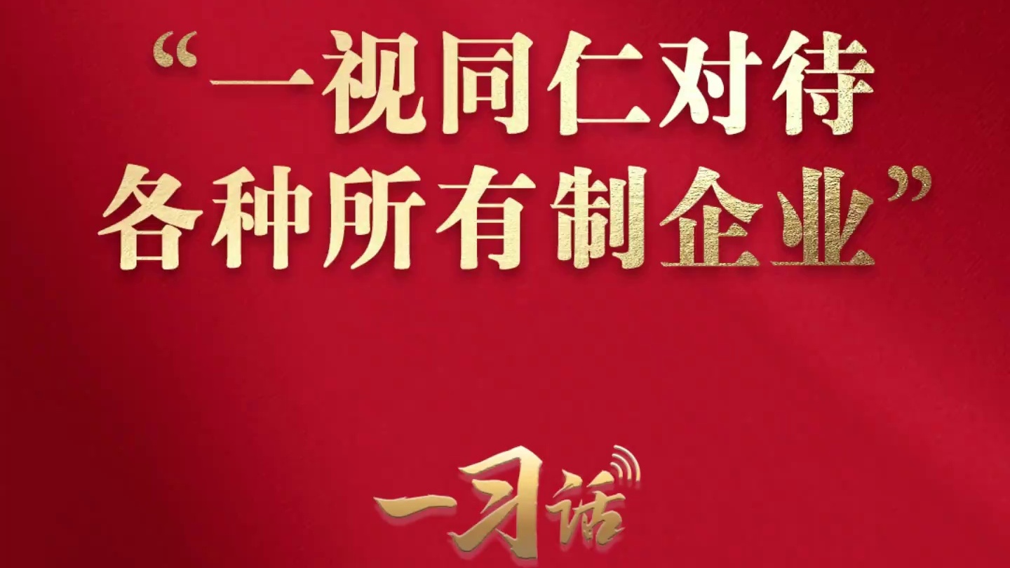 “一视同仁对待各种所有制企业”