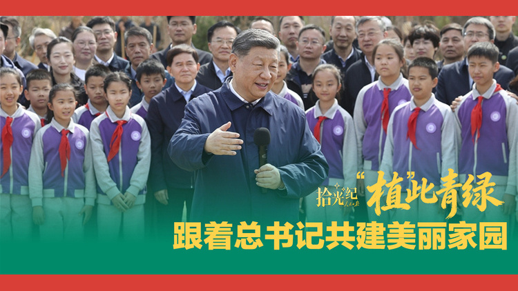“植”此青绿，跟着总书记共建美丽家园