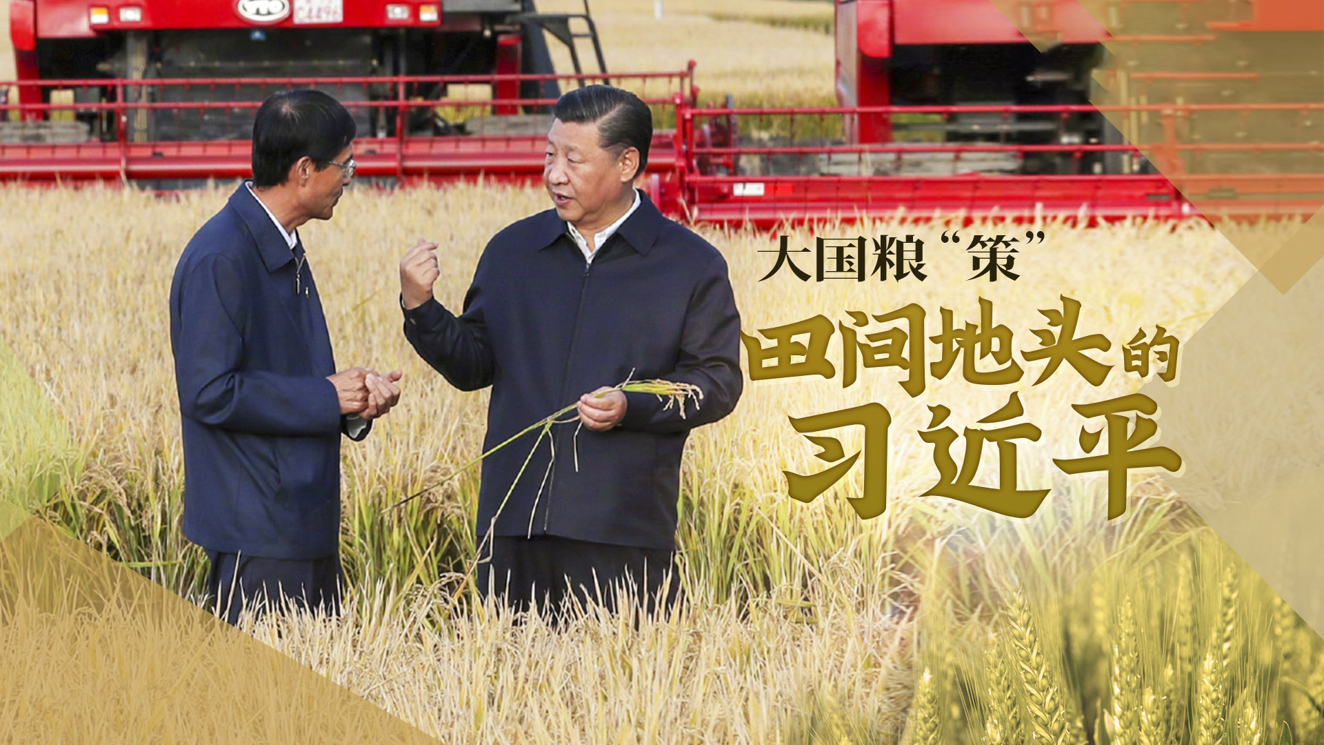 大国粮“策”|田间地头的习近平