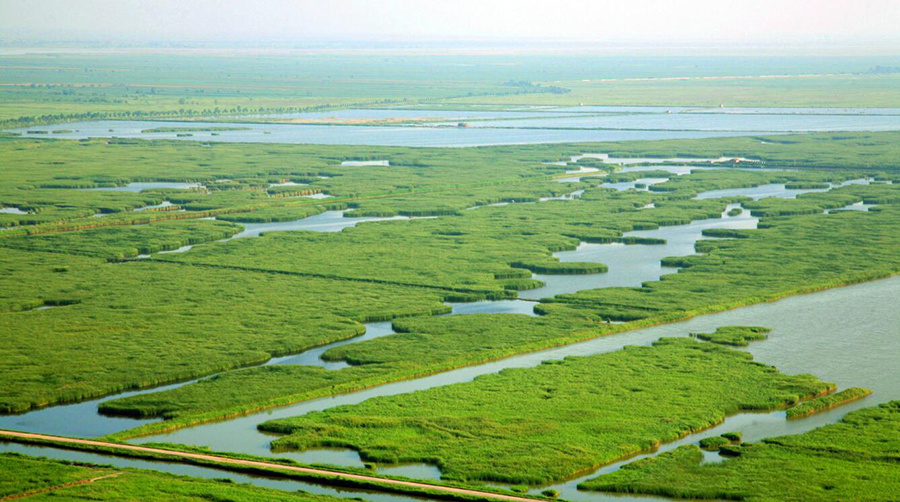 洽川湿地    图片来源:住建部