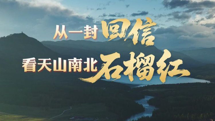 从一封回信，看天山南北石榴红