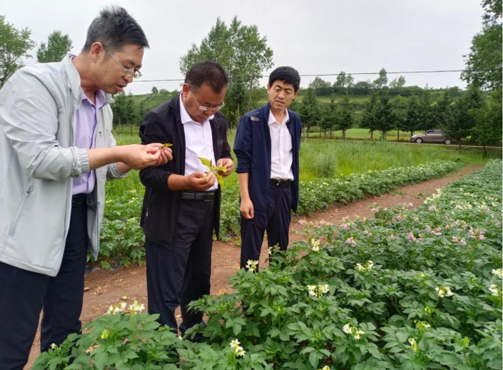 甘肃：国家科技特派团精准“落地” 助力乡村振兴