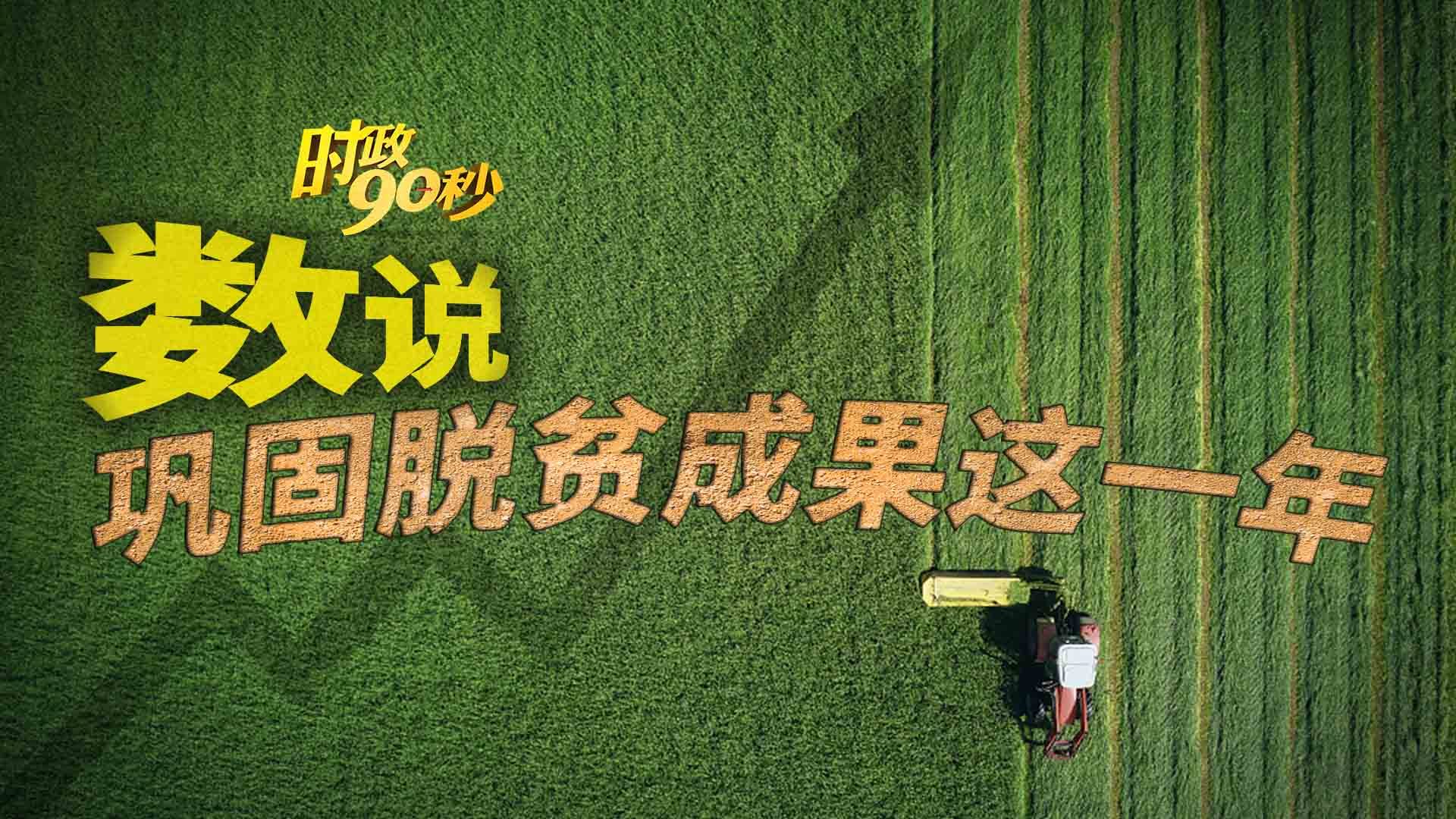 数说巩固脱贫成果这一年
