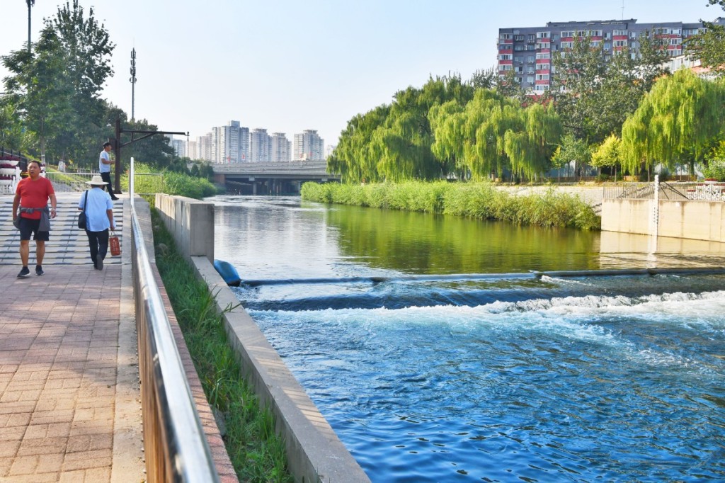 臭水沟重现水清岸绿