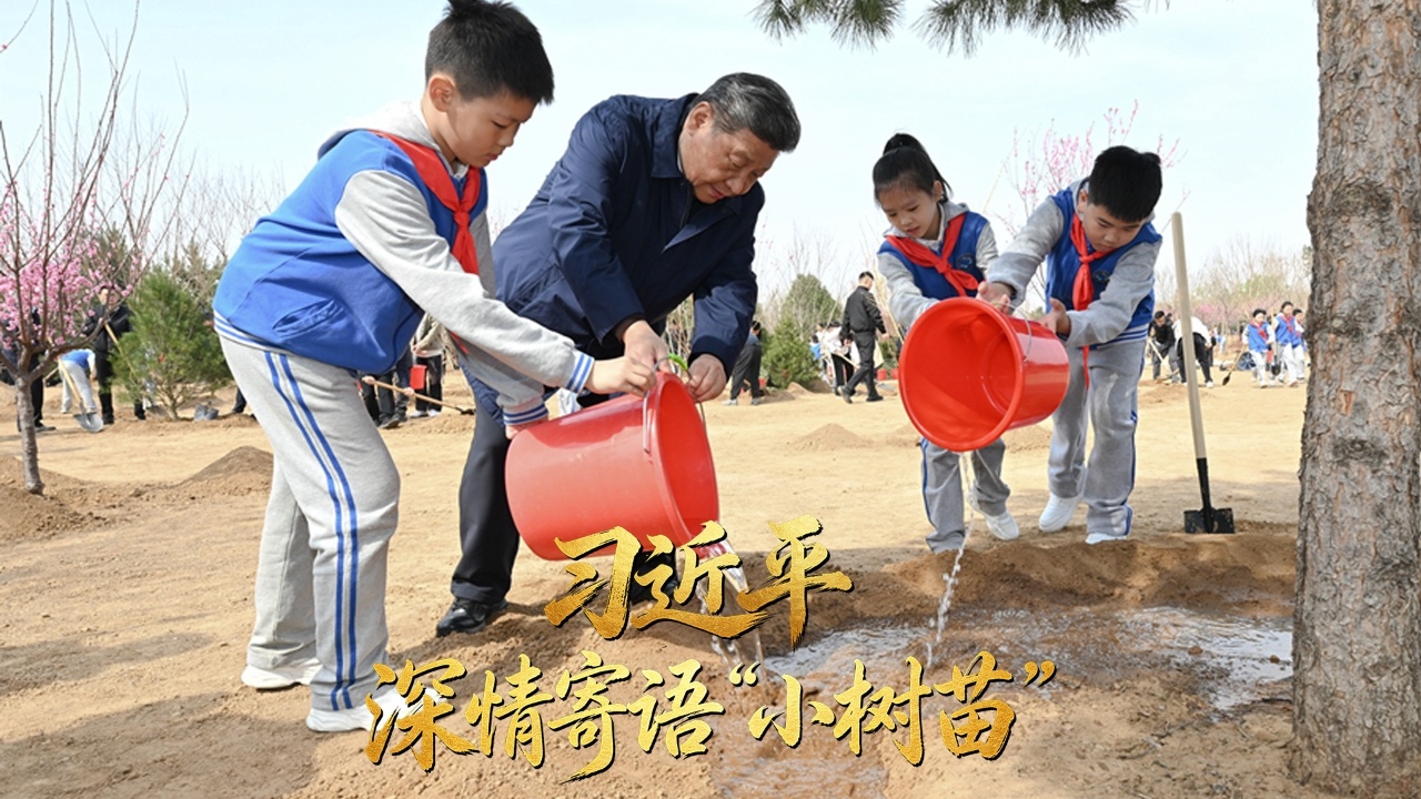习近平深情寄语“小树苗”