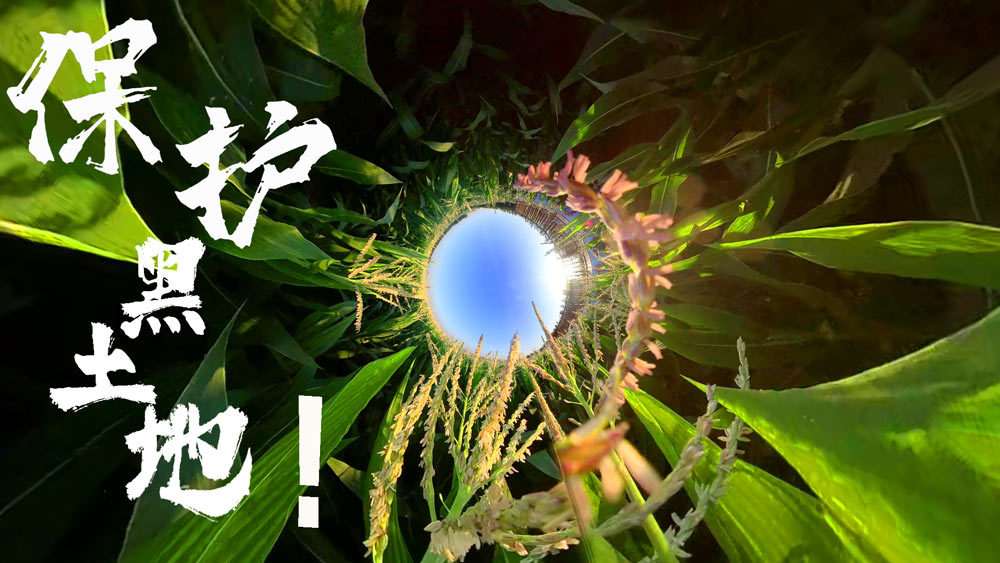 牢记总书记嘱托 保护我们的黑土地