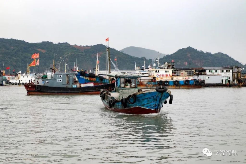 福建福鼎：渔民上岸 渔船进港 防台防疫两手抓