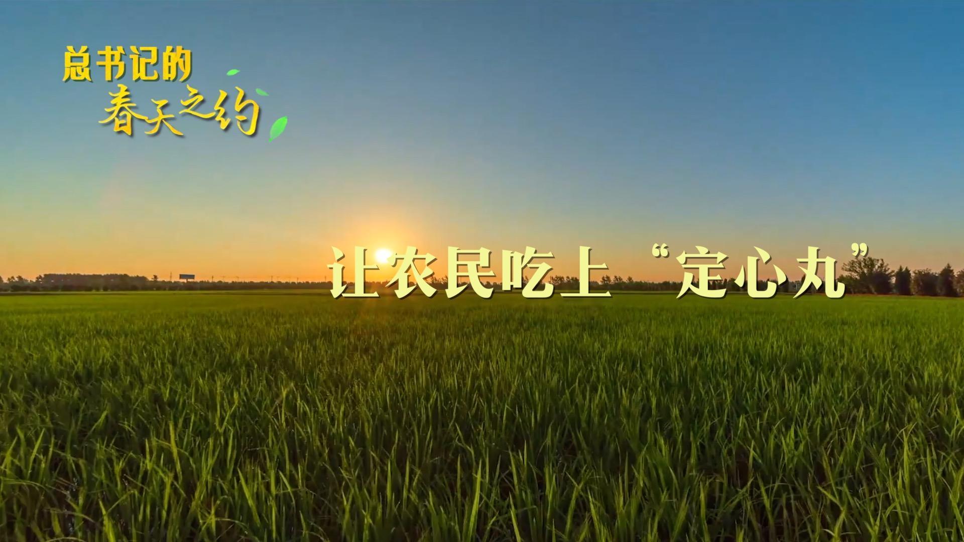 总书记的春天之约｜让农民吃上“定心丸”