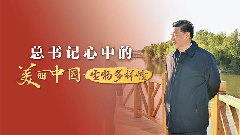 总书记心中的美丽中国·生物多样性：共建万物和谐的美丽家园
