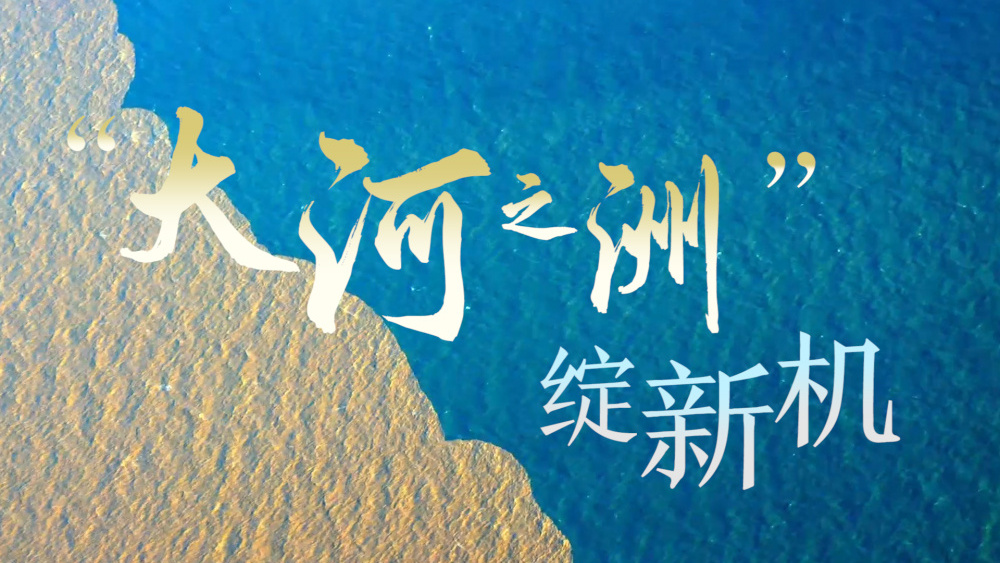 情满黄河｜“大河之洲”绽新机