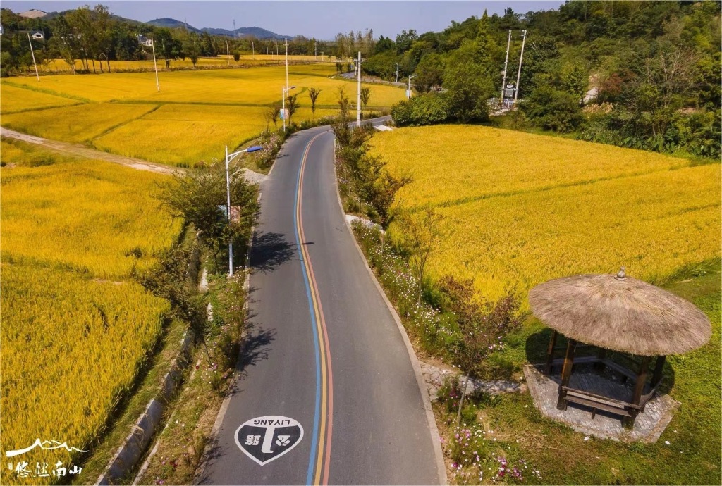 县域新闻在美丽乡村建设成果的基础上,戴埠镇围绕溧阳"1号公路"建设