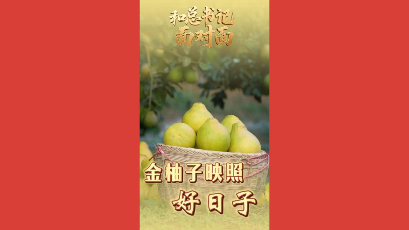 和总书记面对面｜金柚子映照好日子
