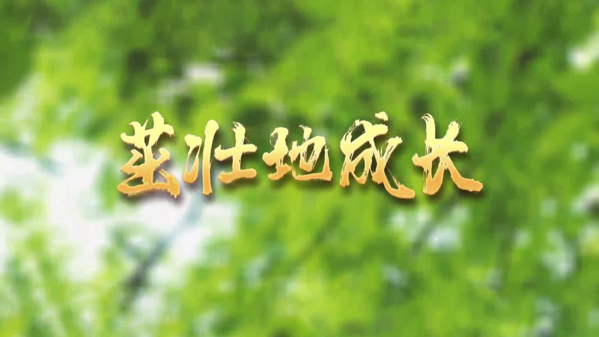 茁壮地成长