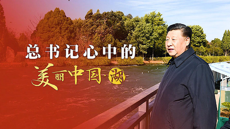总书记心中的美丽中国·湖：还给老百姓清水绿岸、鱼翔浅底的景象