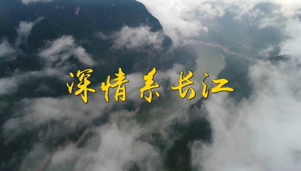 深情系长江