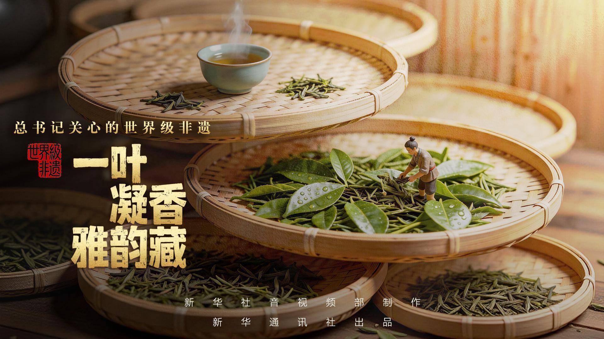 总书记关心的世界级非遗｜一叶凝香雅韵藏