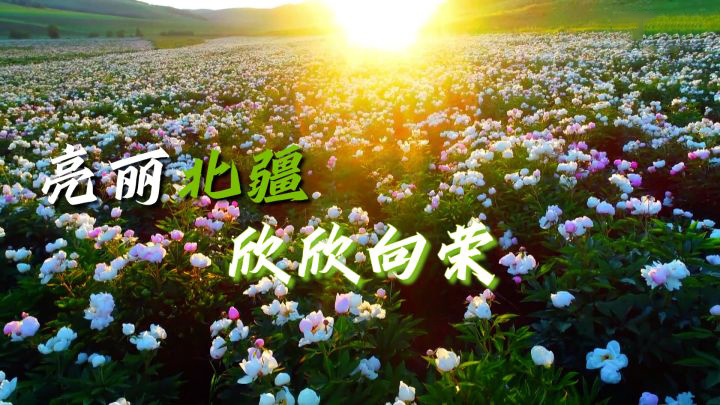 沿着总书记的足迹·内蒙古篇：亮丽北疆欣欣向荣
