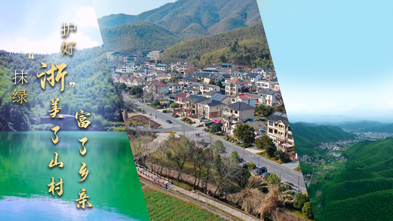 护好“浙”抹绿，美了山村，富了乡亲