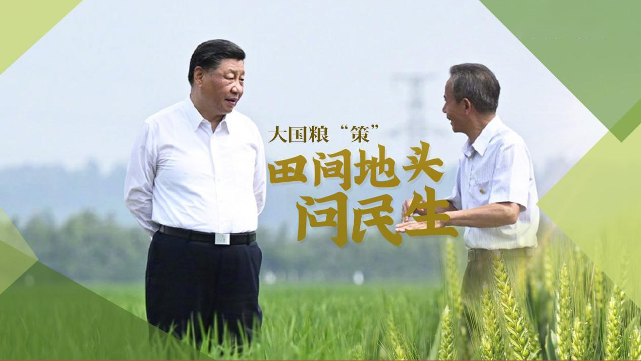 大国粮“策”|田间地头问民生