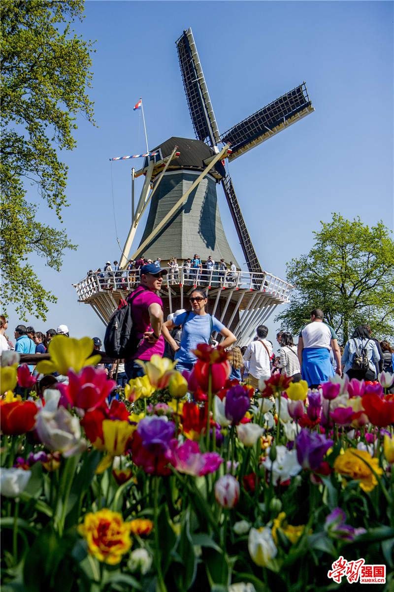 4月21日,游客在荷兰利瑟附近著名的库肯霍夫公园欣赏花海.