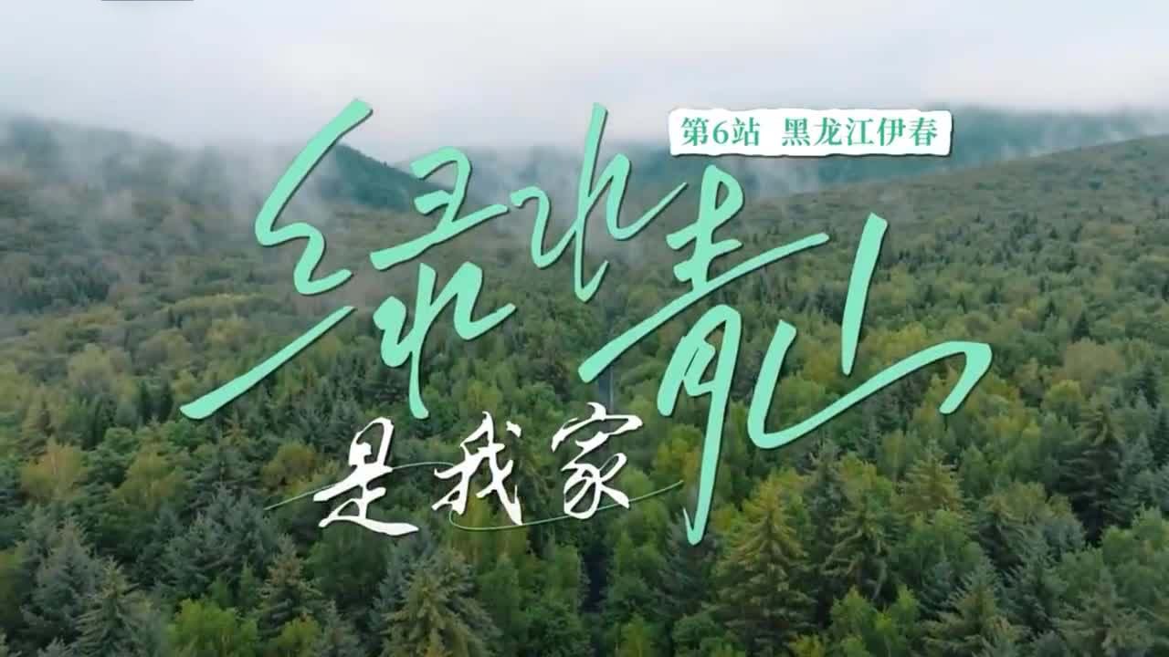 《绿水青山是我家》第6集：给咱伊春出的题 答上来了