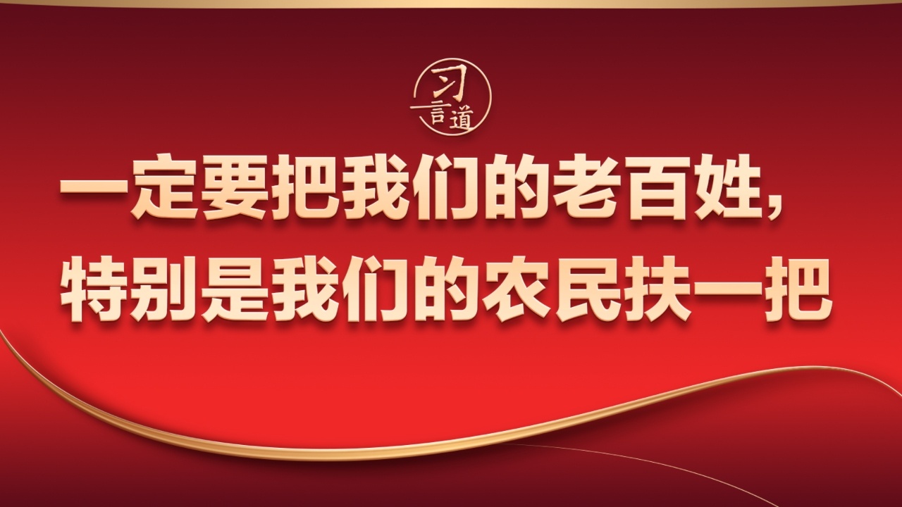总书记的两会关切｜一定要把我们的老百姓，特别是我们的农民扶一把