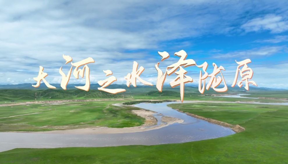 情满黄河｜大河之水泽陇原