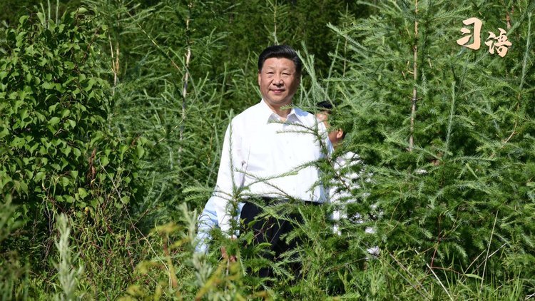 习语｜“绿水青山就是金山银山”