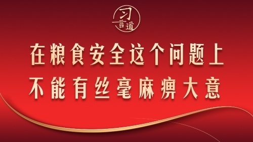 在粮食安全这个问题上不能有丝毫麻痹大意