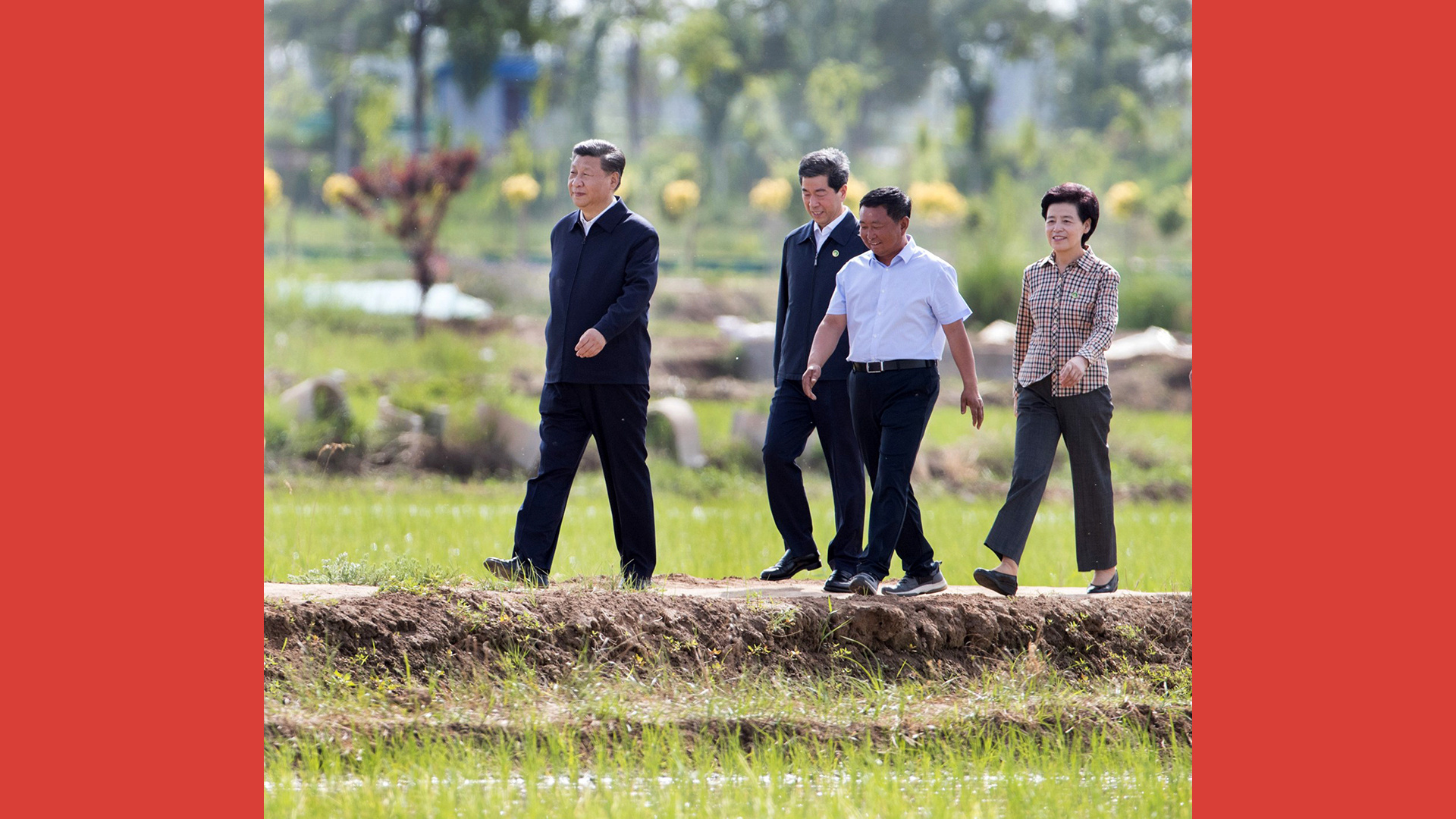田埂上的习近平