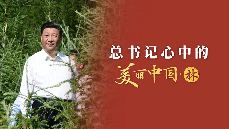 总书记心中的美丽中国·林：筑牢万里绿色长城