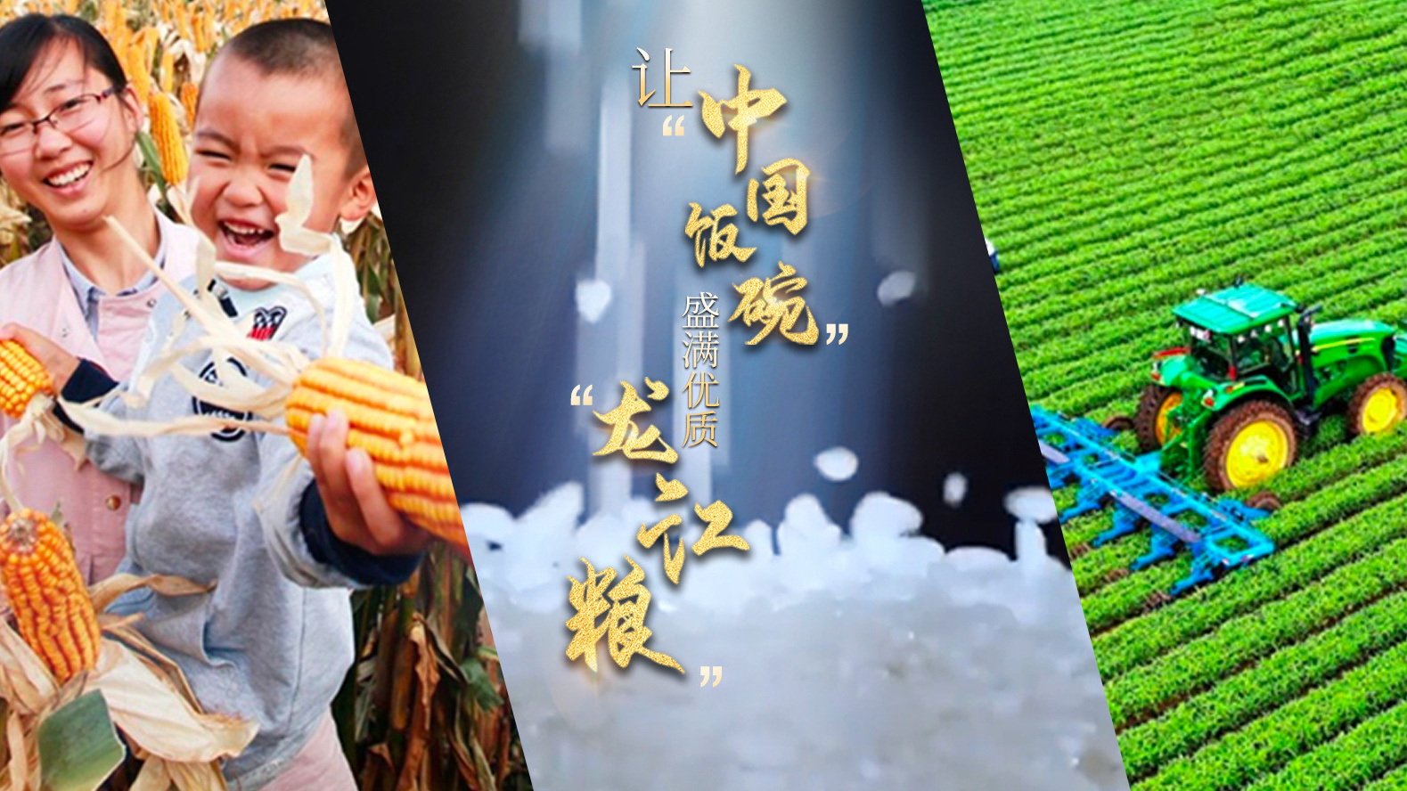 让“中国饭碗”盛满优质“龙江粮”