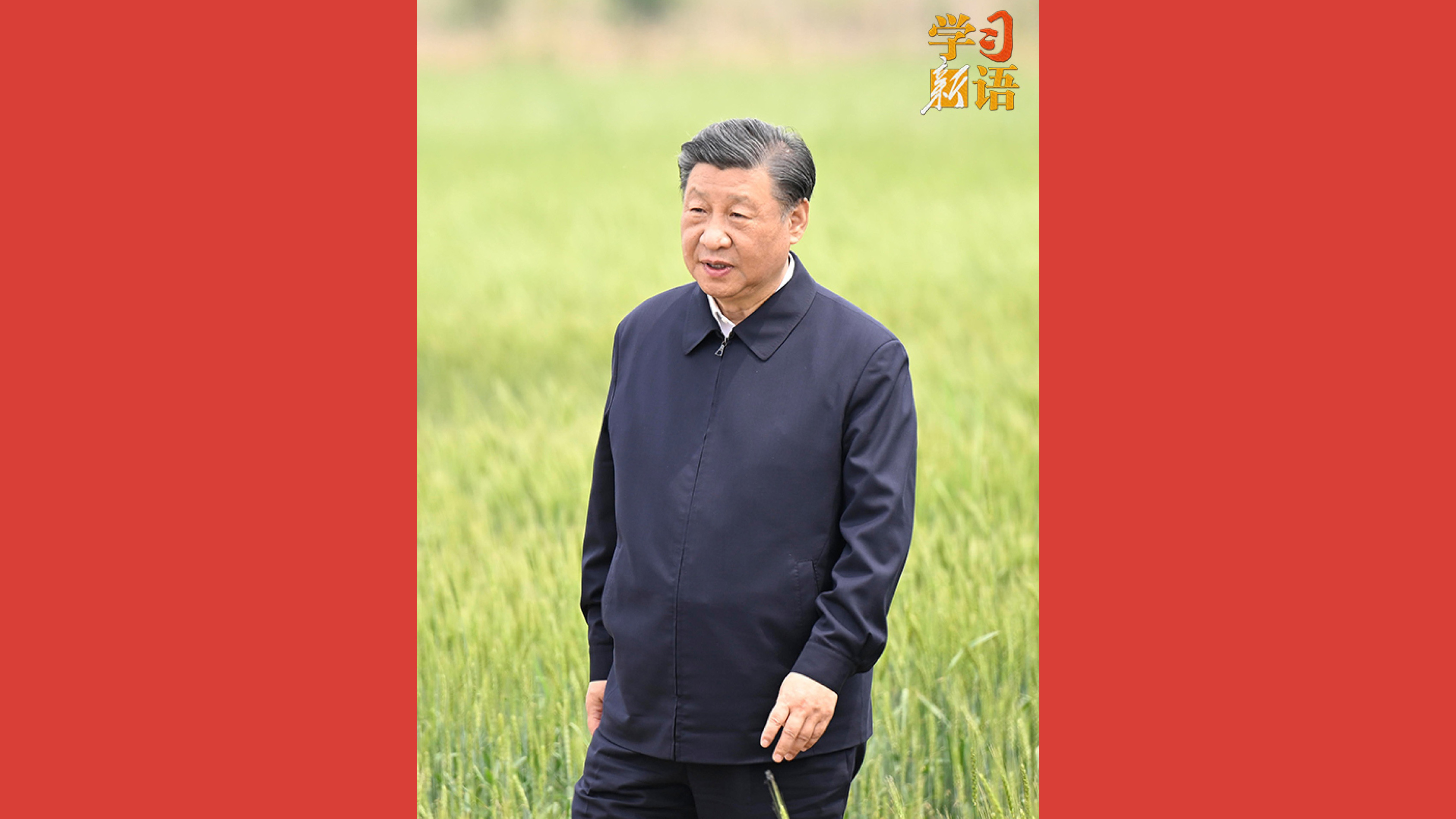 耕地是粮食生产的命根子