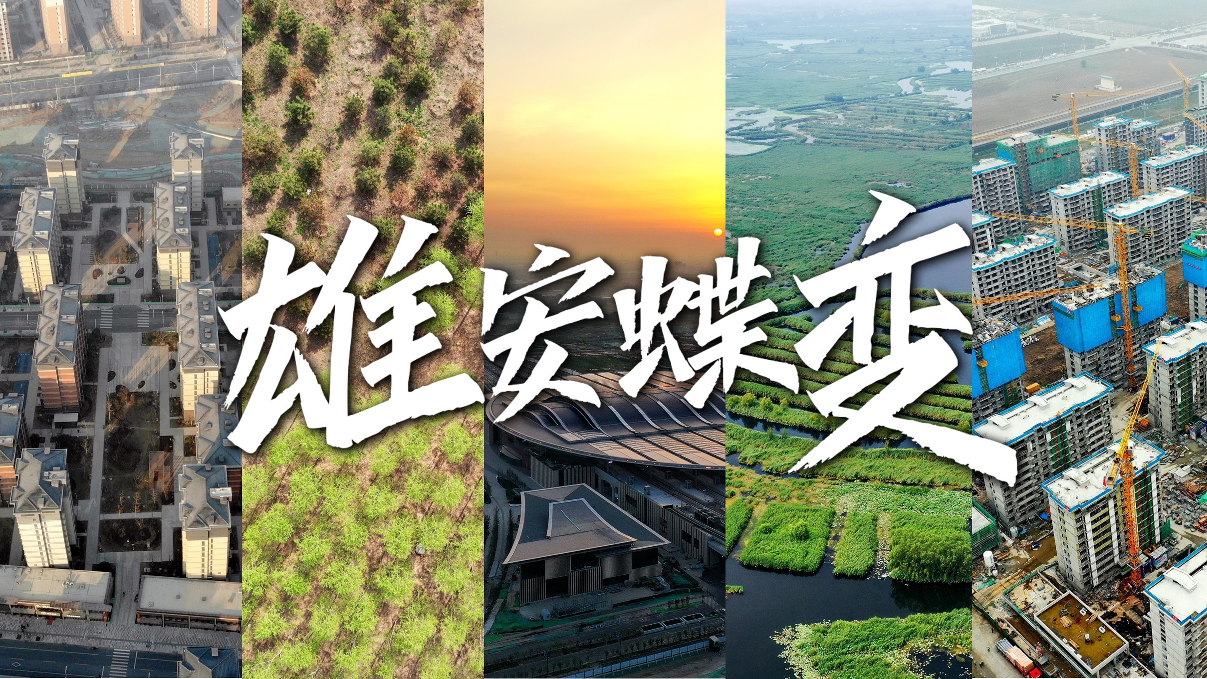 雄安蝶变