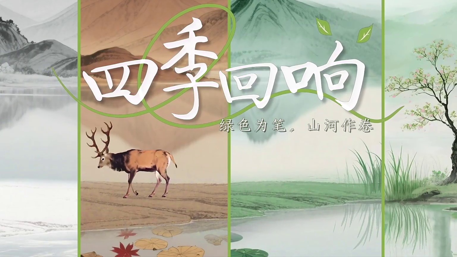 绿水青山间｜四季回响