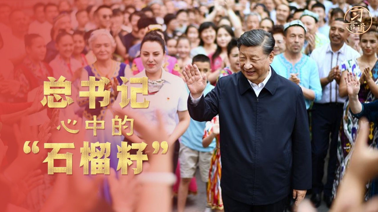 总书记心中的“石榴籽”