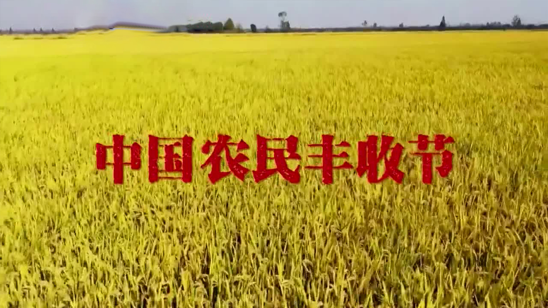 农为邦本 习语“粮”言