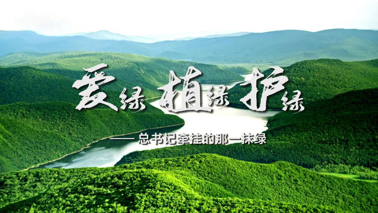 爱绿 植绿 护绿——总书记牵挂的那一抹绿