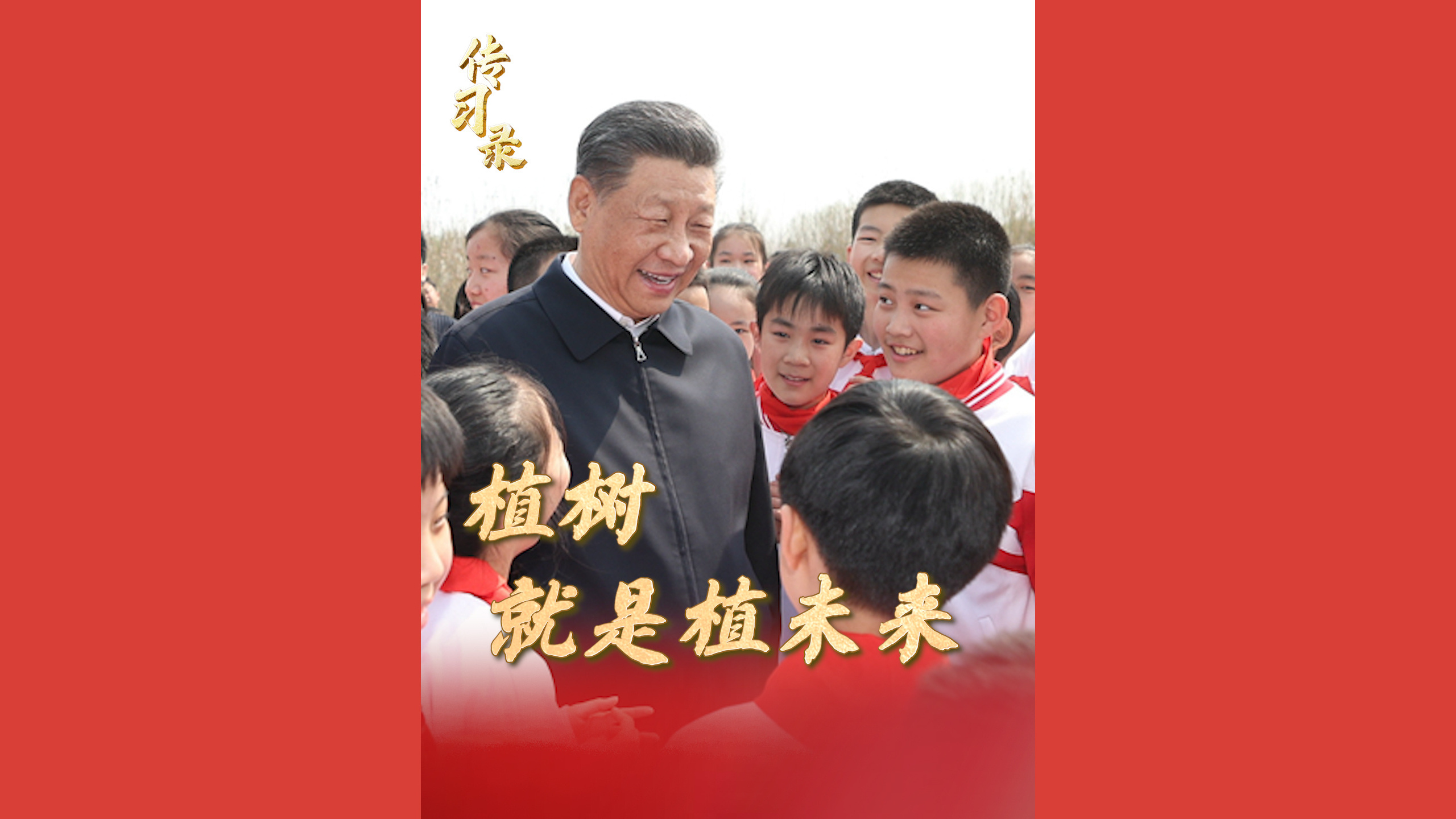 种下的是树苗，也是祖国的美好未来