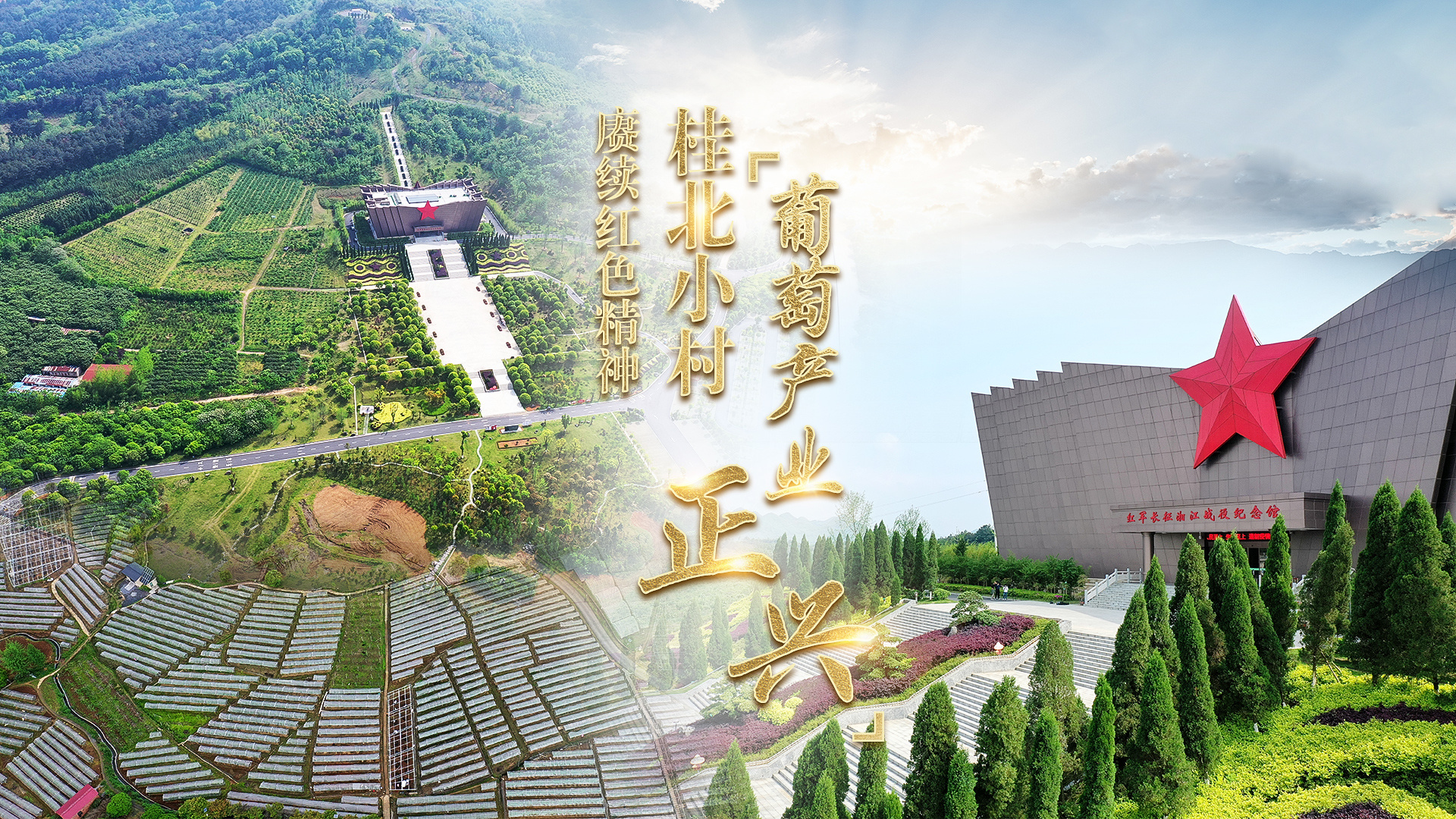 赓续红色精神 桂北小村葡萄产业正兴
