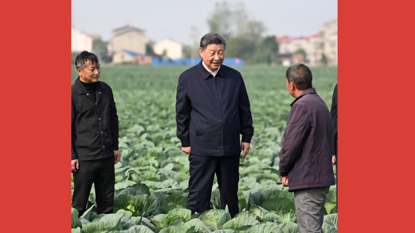 总书记引领强国之路｜加快农业农村现代化步伐
