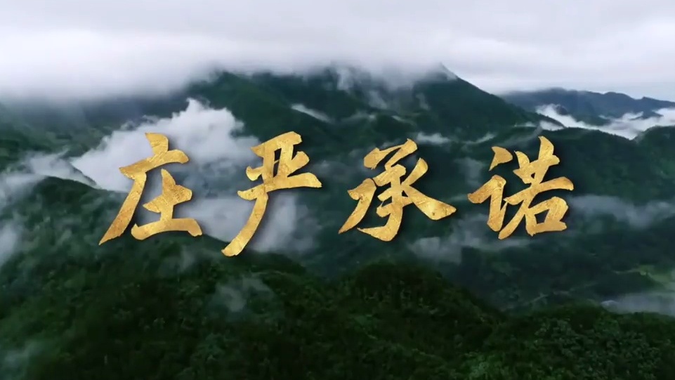 庄严承诺